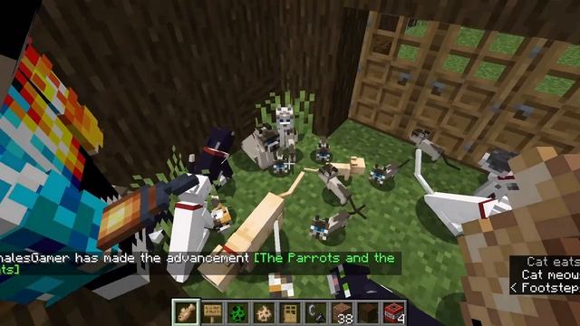 cats meowing in minecraft смотреть онлайн
