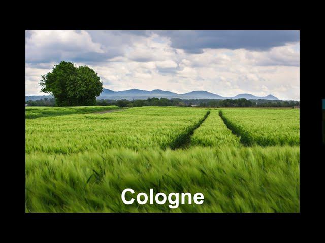 Cologne - Josh Kirsch смотреть онлайн