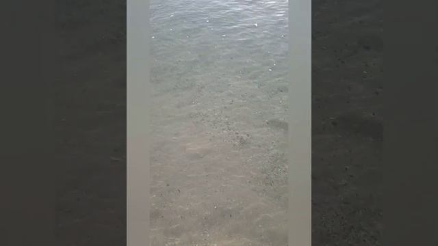 Дубай. Пляж The Pointe. Поющие фонтаны на Palm Jumeirah смотреть онлайн