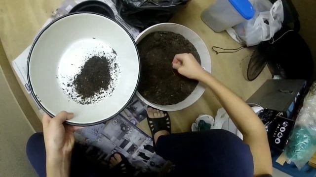 Арбуз дома но подоконнике.Зимой . Часть1 смотреть онлайн