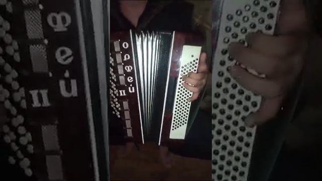 Авар баян, играет четко и красиво #дагестан#махачкала#muzon  #авар#avarmuzon#баяне#набаяне