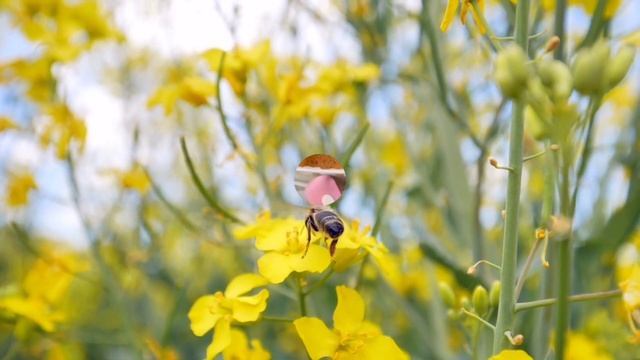ПАСХА ? СВЕТЛОЕ ВОСКРЕСЕНИЕ♥️??Народные приметы, обряды и традиции ? смотреть онлайн