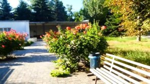 Пансионат "Азов" поселок Урзуф. Гуляем по Азову