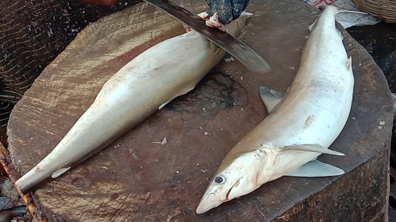 Супер быстрая резка и измельчение молочных акул | Самый быстрый резак для рыбы Kasimedu Selvam | Нар смотреть онлайн