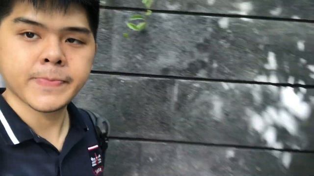 EXPLORE THE JEWEL CHANGI AIRPORT SINGAPORE смотреть онлайн