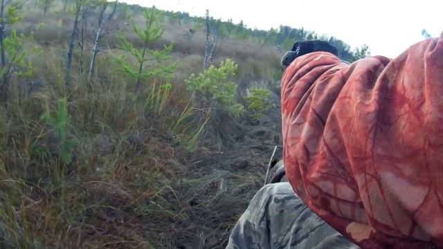 За клюквой на болотоходе. смотреть онлайн