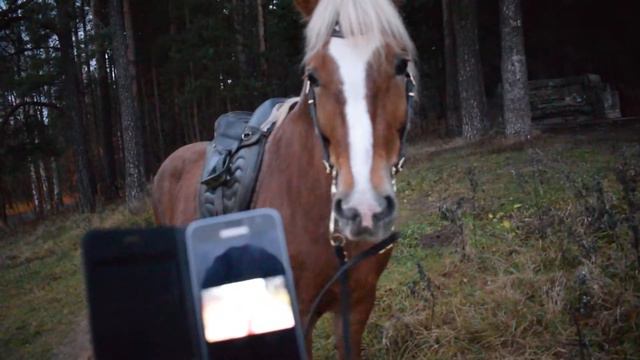 Диалог Томы с Томой смотреть онлайн