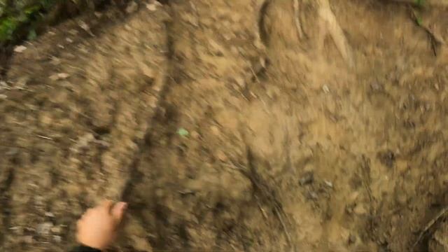 Part 13. Vadkárelhárítás a Börzsönyben. Wildboar hunting. смотреть онлайн