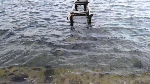 Осеннее море смотреть онлайн