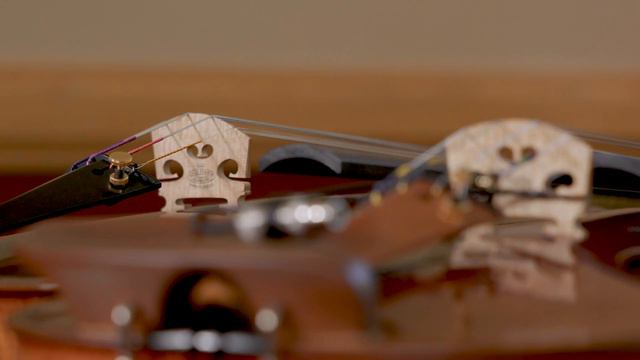 What's the Difference Between a Violin and a Fiddle? смотреть онлайн