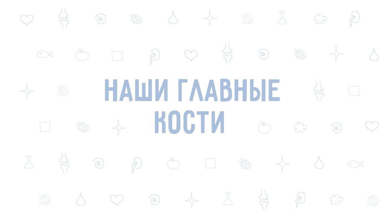 3. Наши главные кости . Окружающий мир - 3 класс смотреть онлайн
