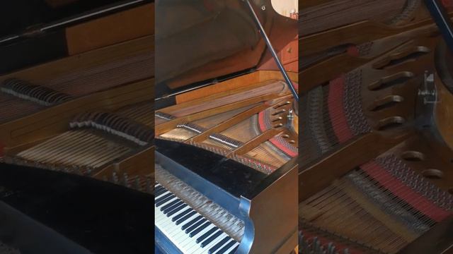 Антикварный рояль gustav fiedler leipzig смотреть онлайн
