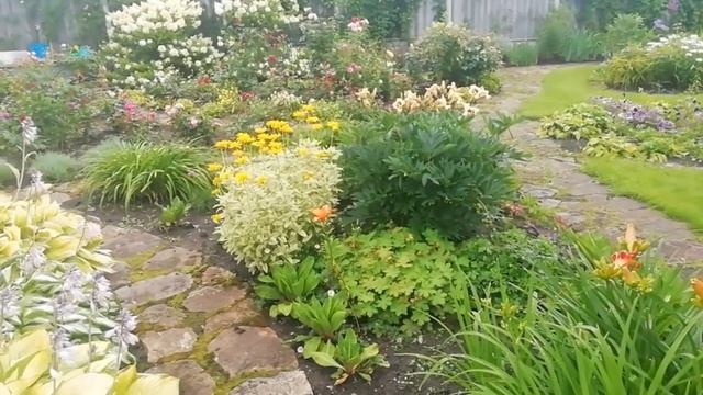 Интеллигентный сад элегантной женщины. Обзор июльского сада смотреть онлайн