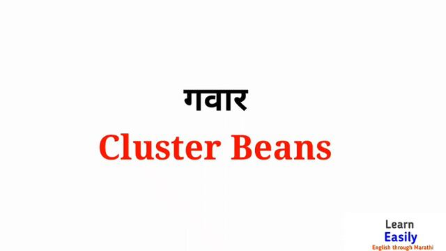 Vegetable Name Marathi & English | भाज्यांची नवे अंग्रेजी आणि मराठीत смотреть онлайн