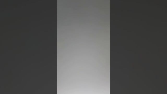 ?Св.Евангелие ? утренние.праздник Иконы Пресв.Богородицы Смоленския, имен.Одигитрия 10.8 (28.7 с.с)