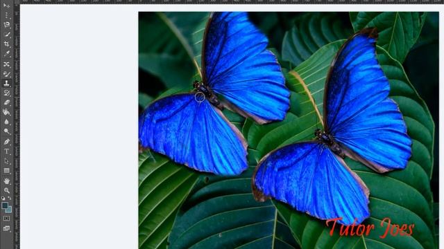 08_How To Use Stamp Toosl In Photoshop CS6 In Tamil смотреть онлайн