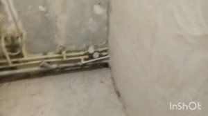 Цена за квадрат. Сколько стоит укладка плитки.