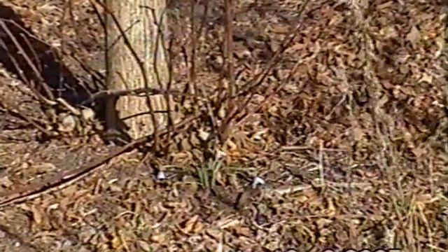 13.03.2005 Кореновск Родился третий сын смотреть онлайн