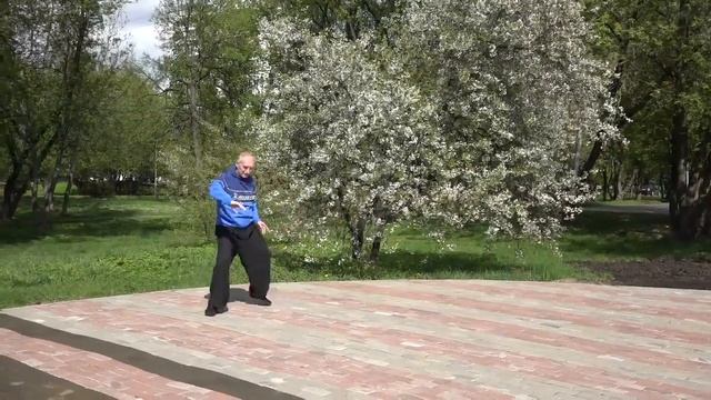 ЦВЕТЕНИЕ САКУРЫ 2022. Часть 2.