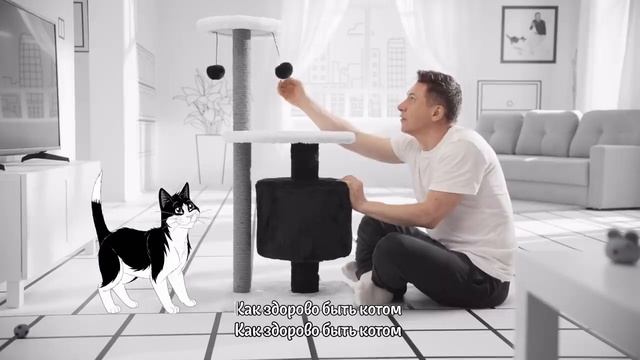 Реклама Felix 