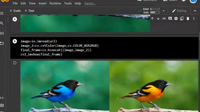 Image Processing with Python |Artificial Intelligence Machine Learning|#python #python смотреть онлайн