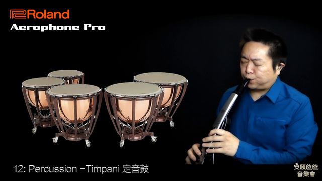Timpani 定音鼓 Roland Aerophone Pro AE-30 смотреть онлайн
