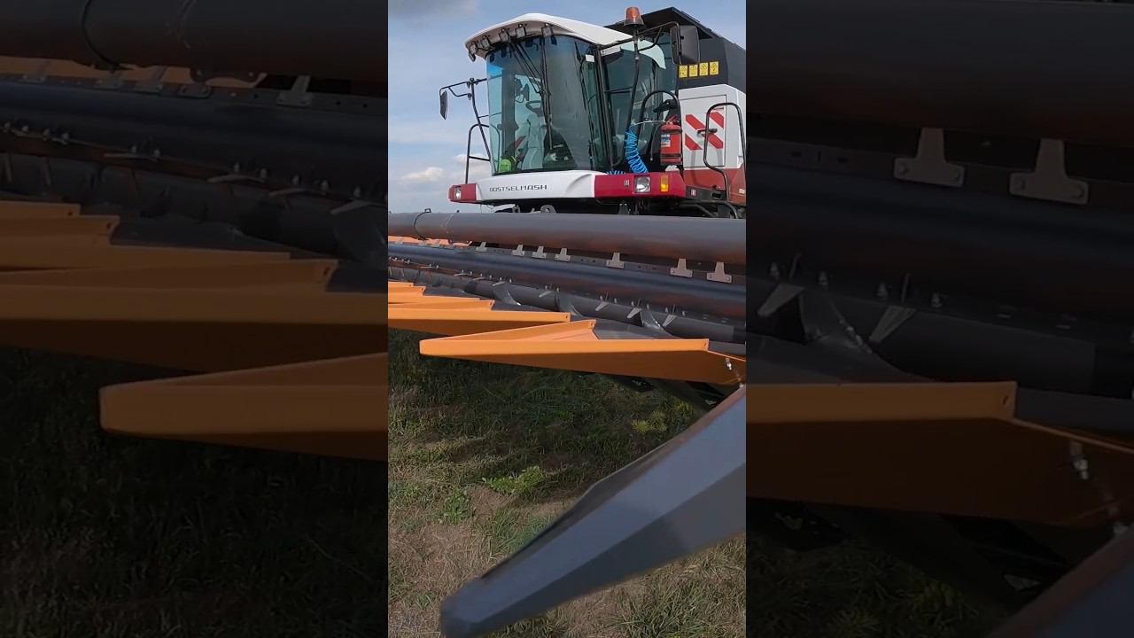 Завтра долгожданный выпуск с подсолнечника. Практически "свежак" смотреть онлайн