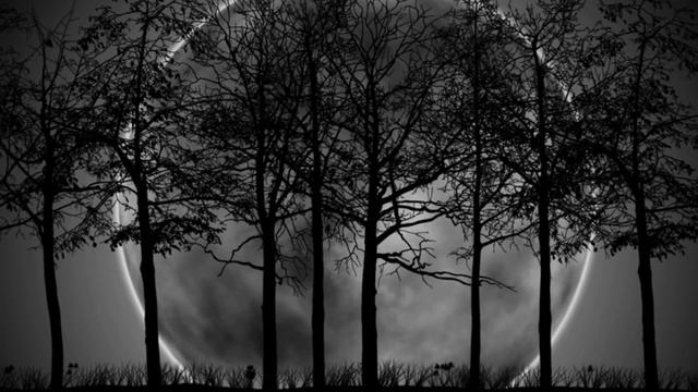 Eels - I need some sleep (Original) смотреть онлайн