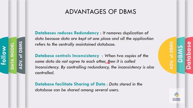 Database Concepts Class 11 part 1| Python wallah | pdf notes смотреть онлайн