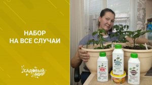 Огород на окне с Набором Экодачника! Урожай без химии