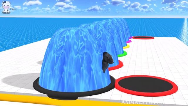 Wild Animals Gameplay Walkthrough Part 21 смотреть онлайн