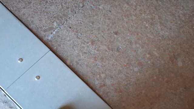 Чем отличается архитектура 1в от15в? Ответ:НИЧЕМ!Все те же Листья,Львы,Драконы и...ЖАБО на 15 веков смотреть онлайн