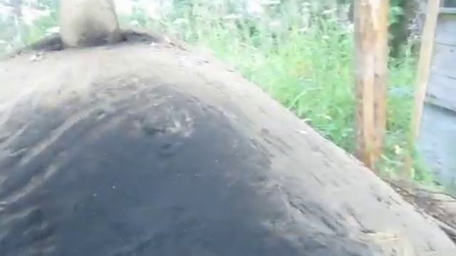 Строим саманную печь своими руками http://www.kladtepla.ru/ смотреть онлайн