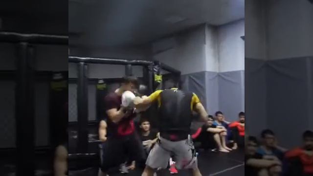 Обычый спаринги в клубе Ахмат таджикистан смотреть онлайн