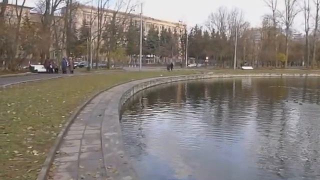 Московские утки и голуби смотреть онлайн