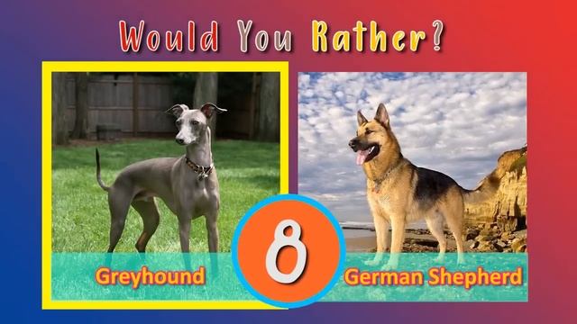 Would You Rather? ? Doggy Dog Edition | Dog Workout Game | Brain Break | PhonicsMan Fitness смотреть онлайн