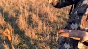 Minelab Vanquish 540 pro pack или Страшный Сон Копателя