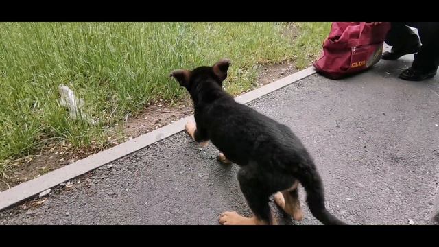 Первая прививка 😲 смотреть онлайн