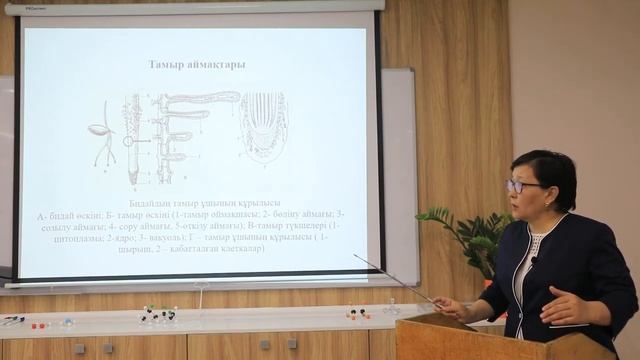 Байкенжеева А.Т. Тамыр және тамыр жүйелері смотреть онлайн