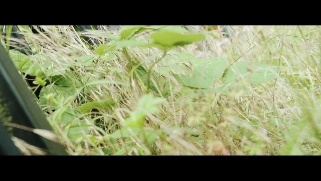 Jango X S’Kizz - Run This Shit (Music Video) смотреть онлайн