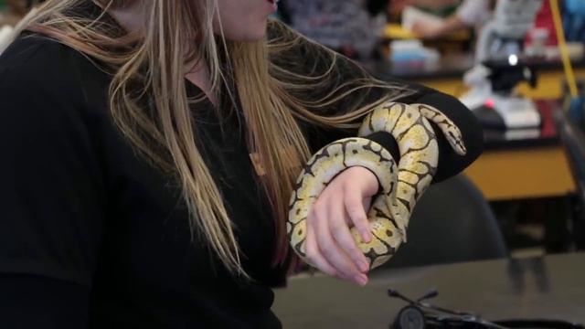 Animal Health Technology - Reptile Workshop