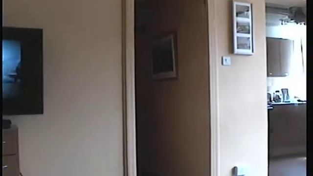 Test footage of Hitachi VM-E330E 8mm Camcorder смотреть онлайн