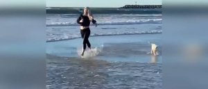 СМЕШНЫЕ ФЕЙЛЫ ЛЮДЕЙ 2023! ПОДБОРКА ЛУЧШИХ ПРИКОЛОВ МАРТ 2023! Я РЖАЛ ДО СЛЕЗ! СМОТРЕТЬ ВСЕМ!