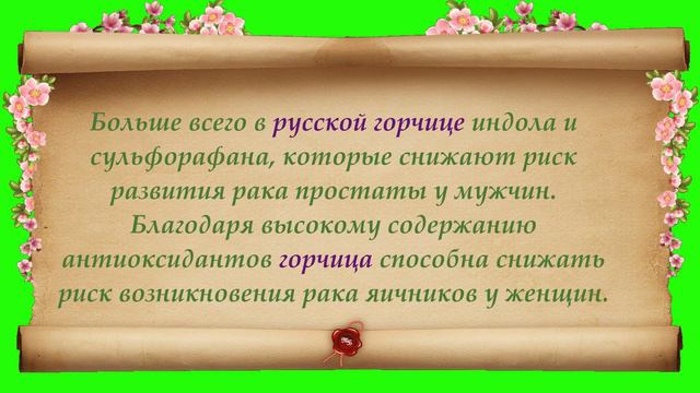 Интересные факты о русской горчице смотреть онлайн