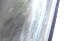 скрип задней двери ТОЙОТА РАВ 4