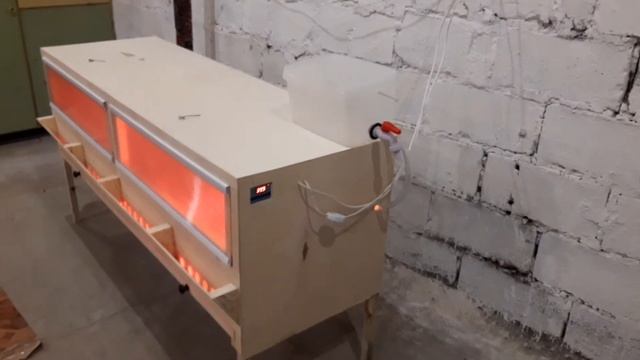 Брудер для цыплят.