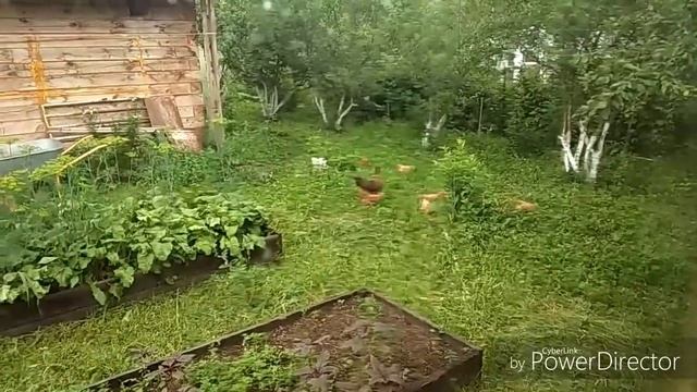 начали ремонт в чайной комнате 12 июля 2018 г. смотреть онлайн