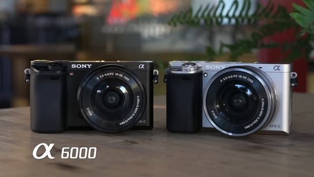 Top 6 Best Cameras For Beginners IN 2024 смотреть онлайн