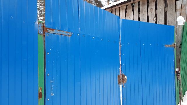 Конный клуб Сосновый Бор смотреть онлайн