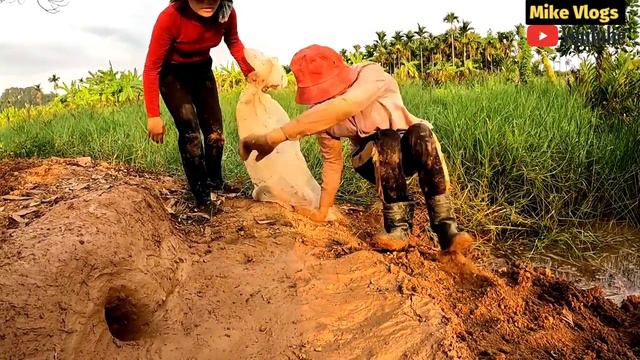 Brave Girl Confront Monster Dangerous Dragons Snake | Mike Vlogs смотреть онлайн